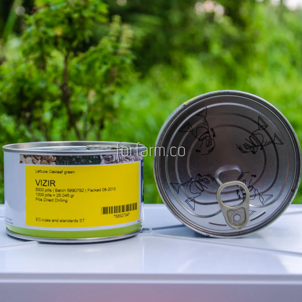 เมล็ดพันธุ์ผักสลัดกรีนโอ๊ค (Green Oak) สายพันธุ์วีเซอร์ (Vizir) กระป๋อง 5,000 เมล็ด