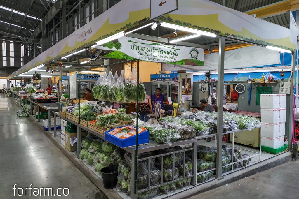 ซัพพลายเออร์ร้านอาหาร ตลาดค้าส่งผักสลัดและพืชเมืองหนาว