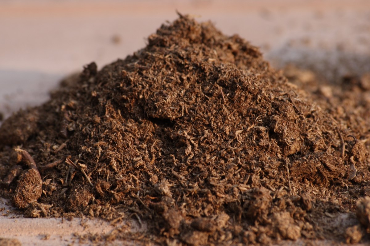 พีทมอส (Peat Moss) วัสดุเพาะชำต้นกล้า